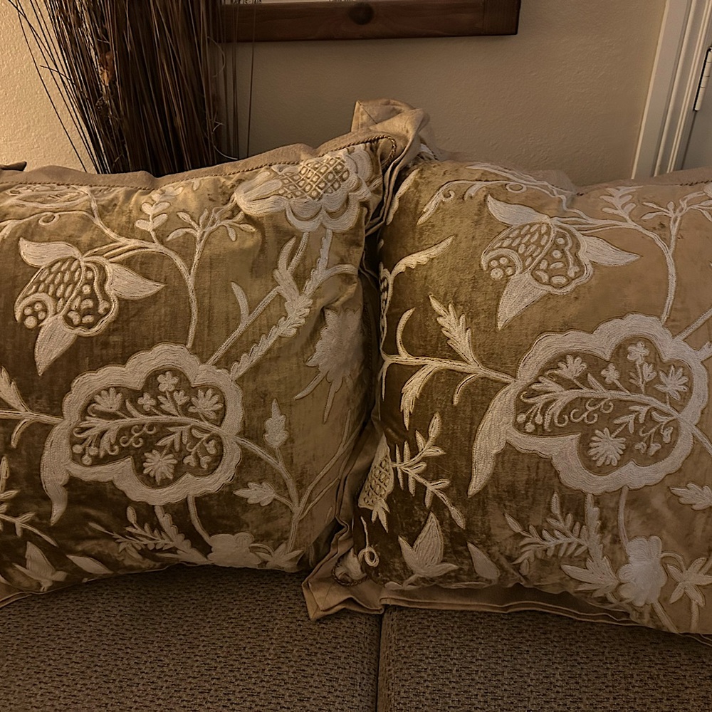 Ivory silk , Heddle Velvet 32/32 Down Pillows Rare Find RobbnStucky